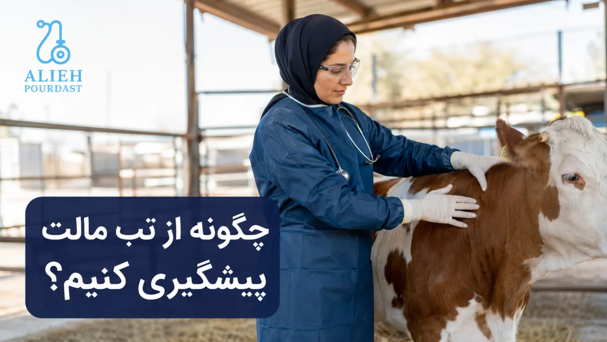 استفاده از تجهیزات محافظ هنگام تماس با دام برای پیشگیری از تب مالت
