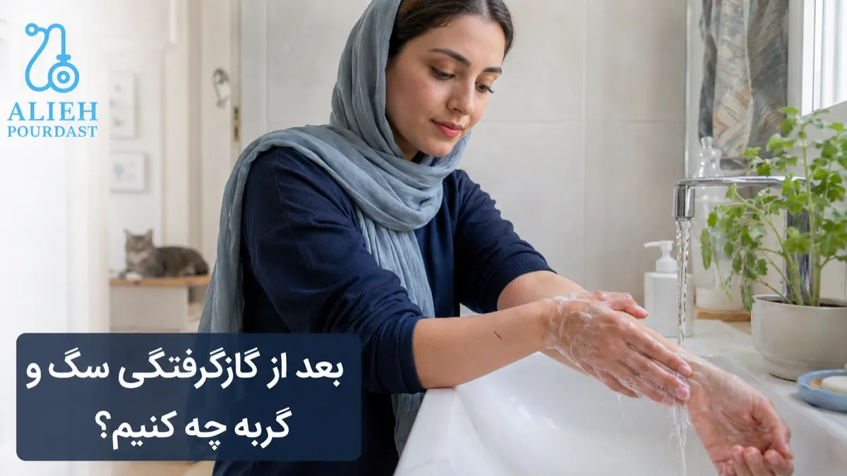 گازگرفتگی سگ و گربه
